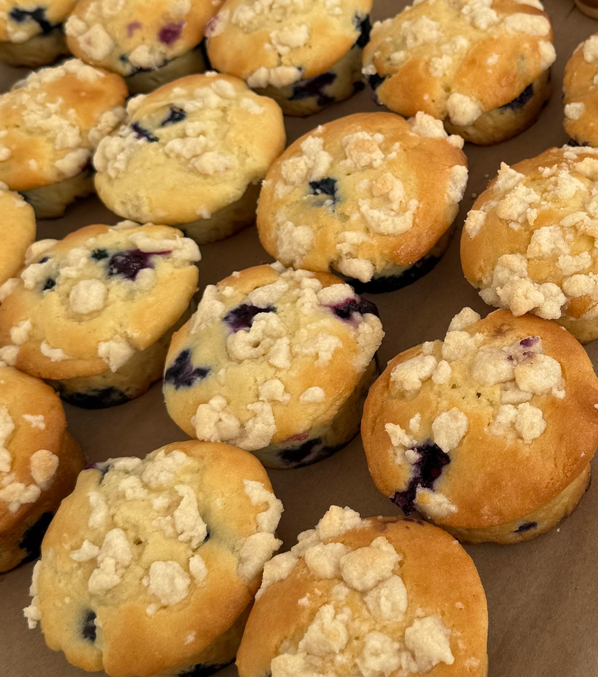Blueberry Muffin